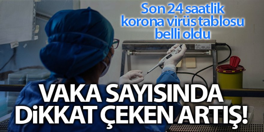 Son 24 saatte korona virüsten 213 kişi hayatını kaybetti