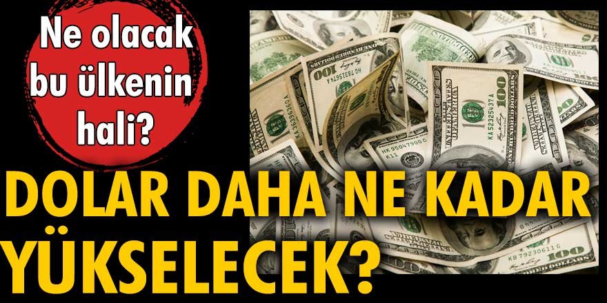 Ne olacak bu ülkenin hali? Dolar daha ne kadar yükselecek?