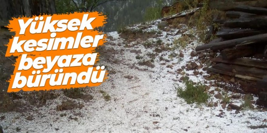 Doğu Anadolu’da yüksek kesimlere yağan karla hava sıcaklığı düştü