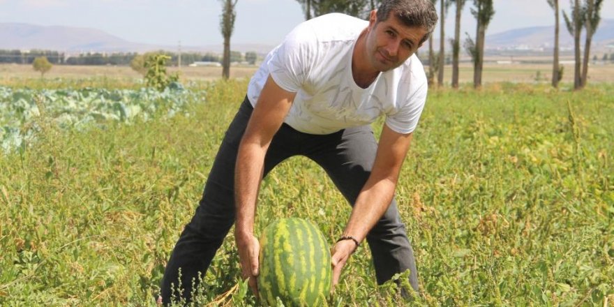 Erzurum’da yetişmez denilen sebzeyi 2 bin rakımda yetiştirdi