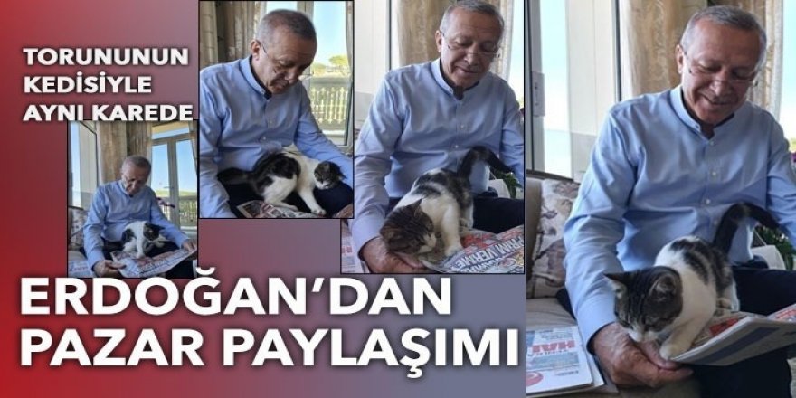 Erdoğan'ın torununun kedisiyle verdiği poz sosyal medyanın gündemine oturdu