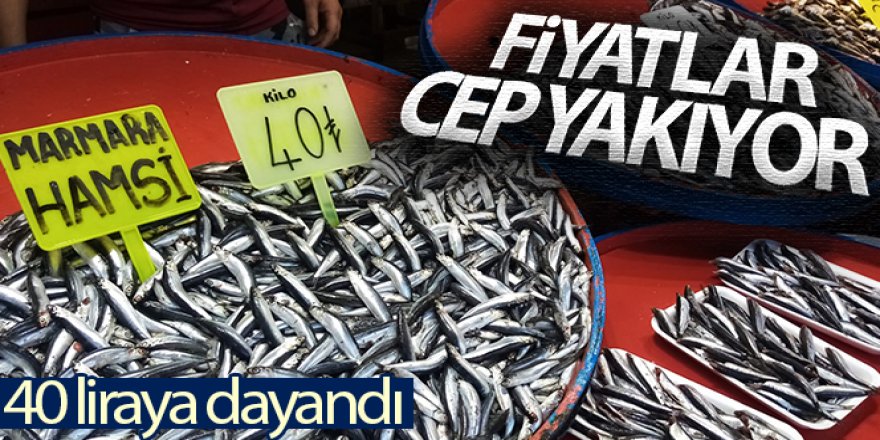 Hamsinin fiyatı 40 liraya dayandı