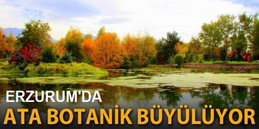 Ata Botanik Parkı'nda renk cümbüşü!