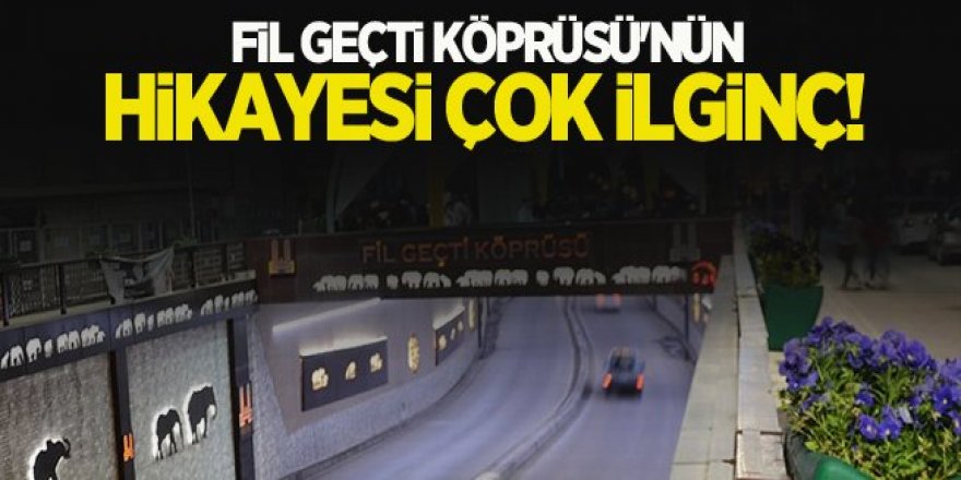 Fil geçti köprüsü'nün ilginç hikayesi!