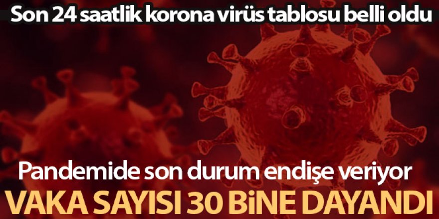 Son 24 saatte korona virüsten 216 kişi hayatını kaybetti