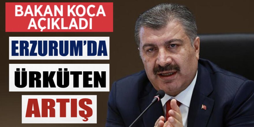 Erzurum vaka sayısında ciddi artış !!!