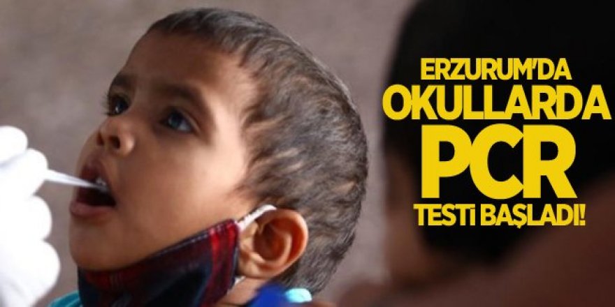 Erzurum'da okullarda PCR testi dönemi başladı!
