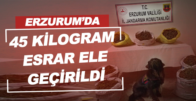 Erzurum’da 45 kilogram esrar ele geçirildi