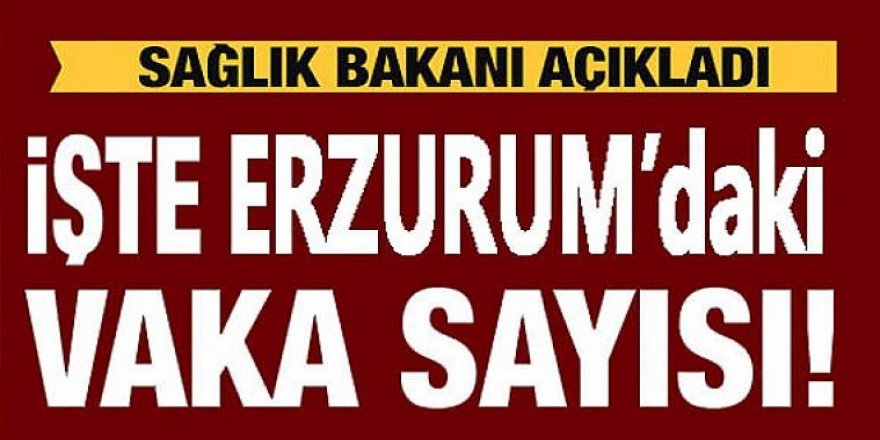 Erzurum vaka sayısında 28’inci sırada