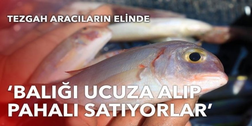 Su Ürünleri Kooperatifi Başkanı Yalçın Sakın: Tezgah aracıların elinde!