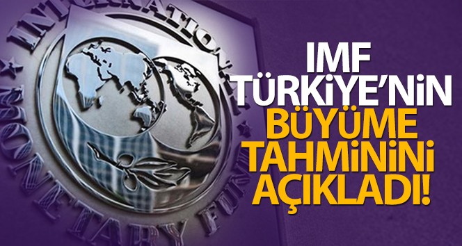 IMF: 'Türkiye ekonomisi 2021'de yüzde 9 büyüyecek'