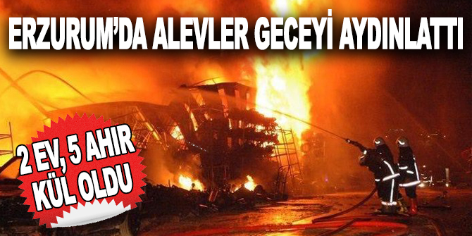 Erzurum’da alevler geceyi aydınlattı