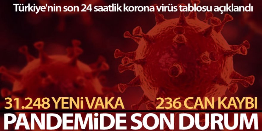 Son 24 saatte korona virüsten 236 kişi hayatını kaybetti