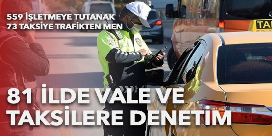 Ülke genelinde vale ve taksi denetimi