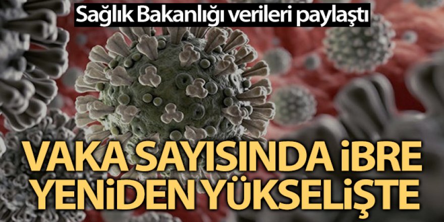 Türkiye'nin son 24 saatlik korona virüs tablosunu açıkladı