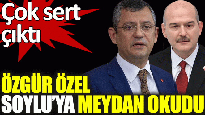 Özgür Özel'den Soylu'ya: Burnundan fitil fitil getirmezsem namerdim