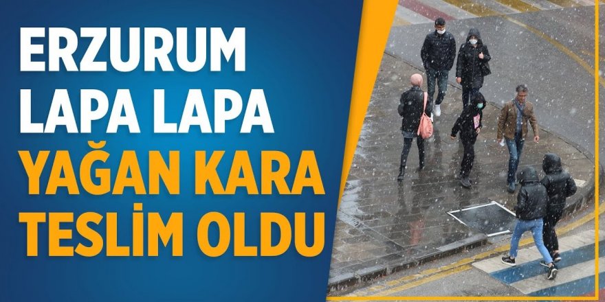 Erzurum kent merkezine mevsimin ilk karı yağdı