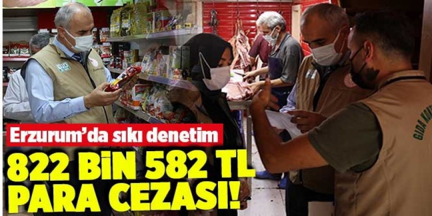 Erzurum'da denetim seferberliği: Ceza yağdı