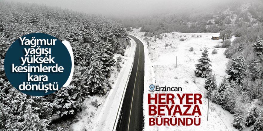 Erzincan'ın yüksek kesimlerinde kar yağışı etkili oldu