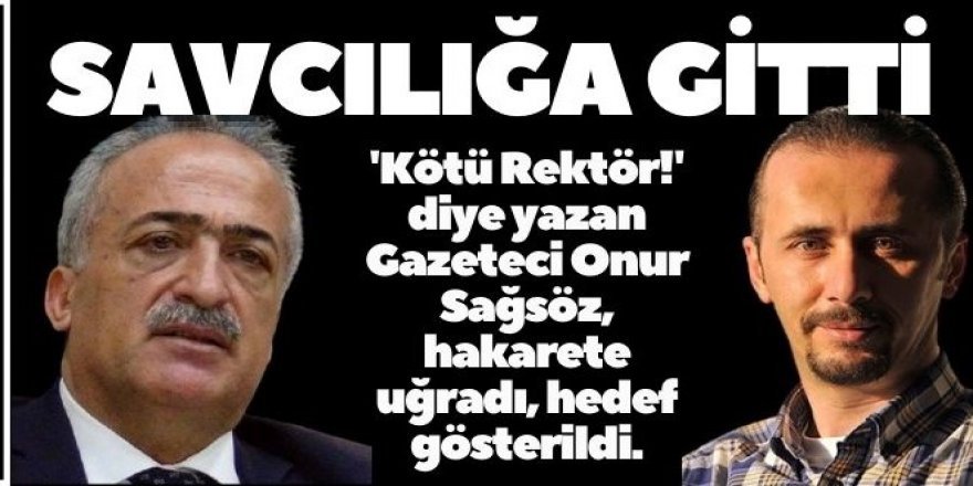 Gazeteci Sağsöz, arı kovanına çomak soktu