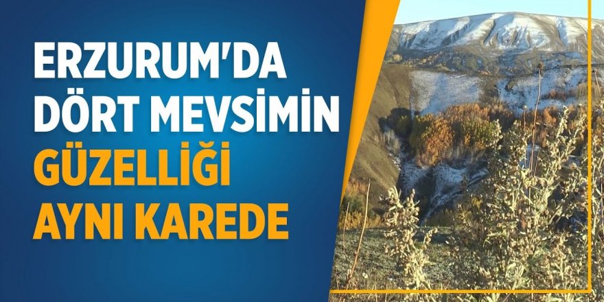 Erzurum'da dört mevsimin güzelliği aynı karede