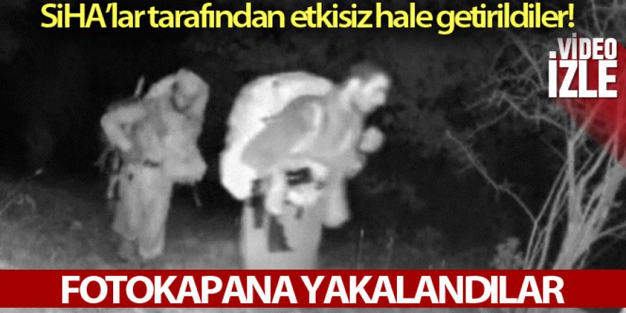 PKK'lı teröristler fotokapana böyle yakalandı