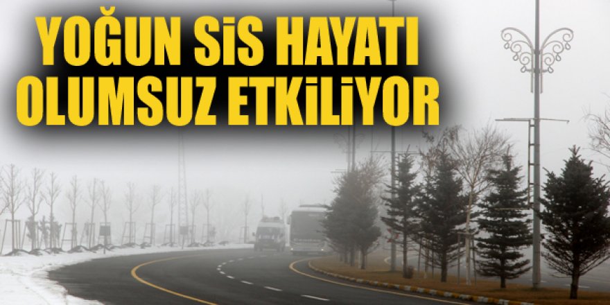 Erzurum’da etkili olan yoğun sis sürücülere zor anlar yaşattı