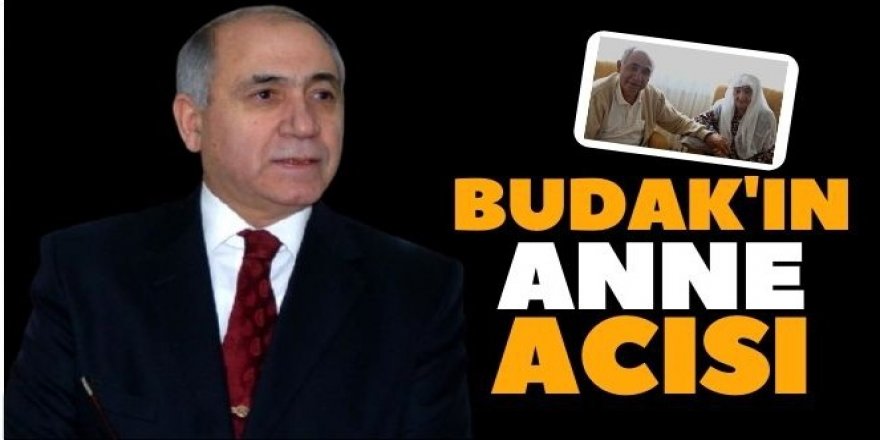 Fevzi Budak'ın anne acısı...