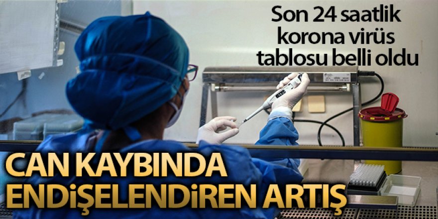 24 saatte korona virüsten 203 kişi hayatını kaybetti