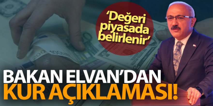 Bakan Elvan'dan döviz kuru açıklaması