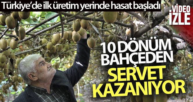 0 dönüm bahçeden 280 bin lira kazandı