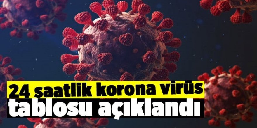 Türkiye'nin son 24 saatlik korona virüs tablosunu açıkladı