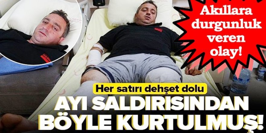 Ayı saldırısından güreşerek kurtuldu