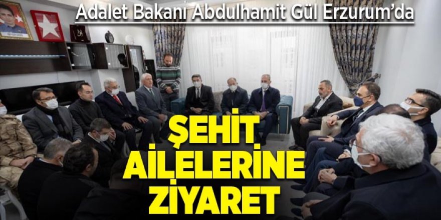 Adalet Bakanı Gül, şehit ailelerini ziyaret etti