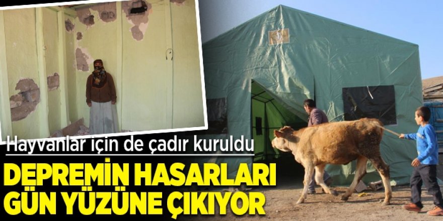 Erzurum’da deprem bölgesinde hayvanlar için çadırlar kuruldu