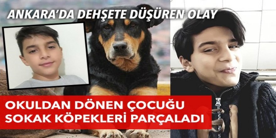 Ankara'da dehşete düşüren olay!