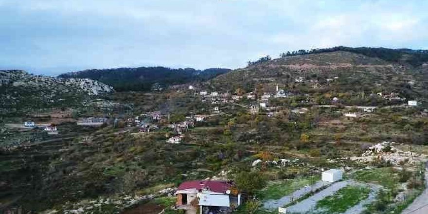 Zeytinköy'ün karası yeşile büründü