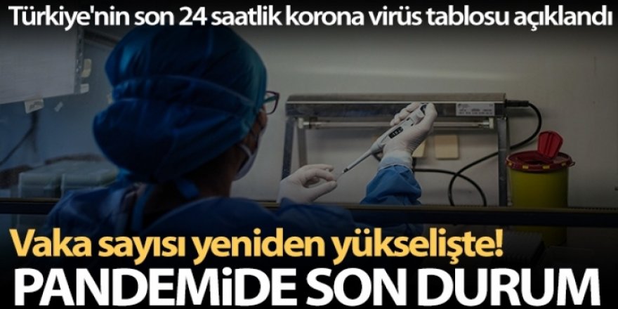 Türkiye'nin son 24 saatlik korona virüs tablosunu açıkladı
