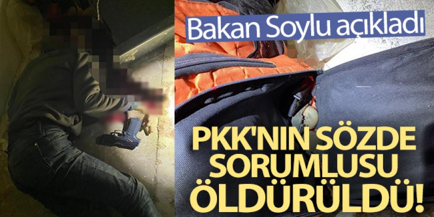 Şanlıurfa'daki PKK operasyonunda sözde eyalet sorumlusu öldürüldü