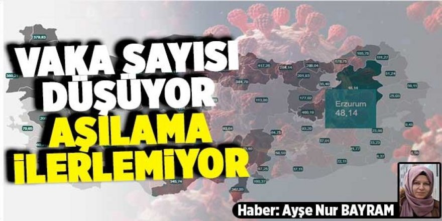 Erzurum'da vaka sayısı oranı 48,14 oldu
