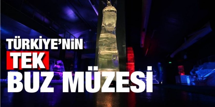 Havalar soğudu, Türkiye’nin tek buz müzesine ilgi arttı