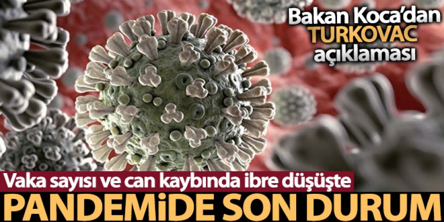 Son 24 saatte korona virüsten 168 kişi hayatını kaybetti