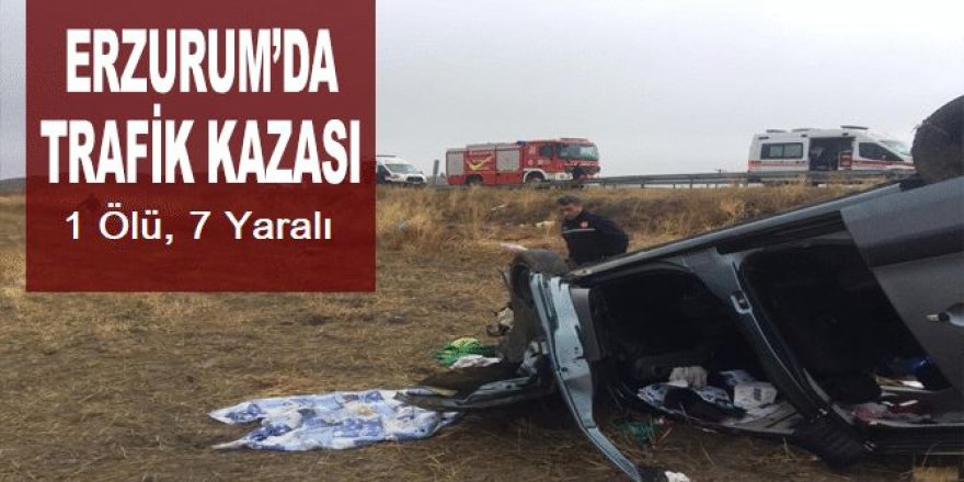 Minibüs şarampole devrildi: 1 ölü 7 yaralı