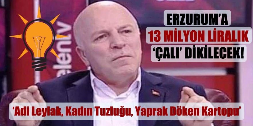 Erzurum’a 13 milyon liralık ‘çalı’ dikilecek