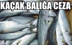 Balık Avlayan 2 Kişiye Ceza!