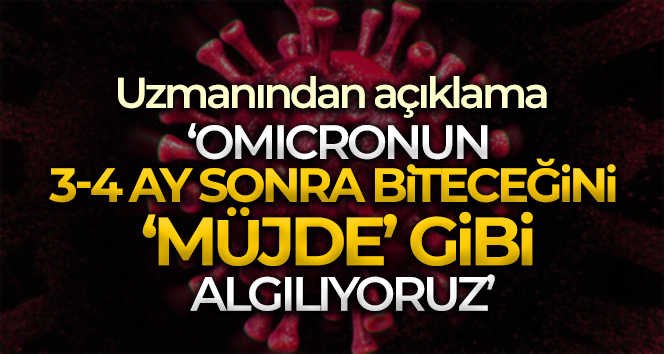 Uzmanlar, Kovid-19'un birkaç ay içerisinde biteceğini öngörüyor