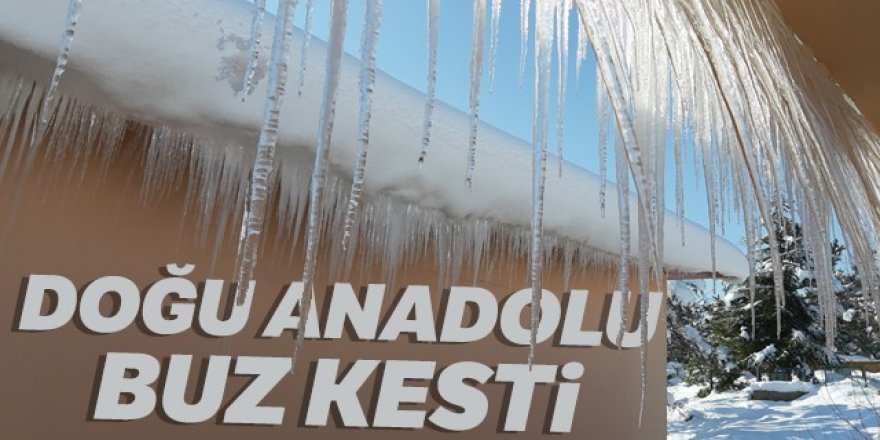 Doğu Anadolu buz kesti...