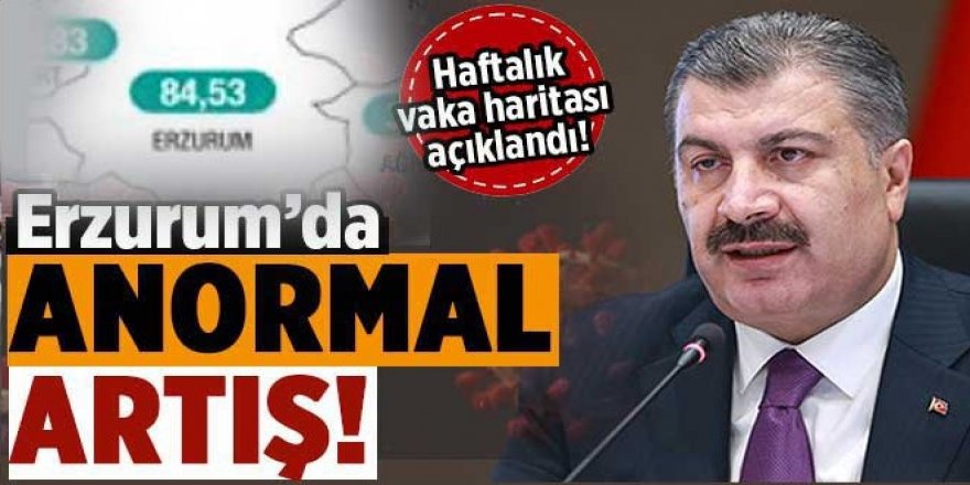 Erzurum'da vaka sayısında patlama