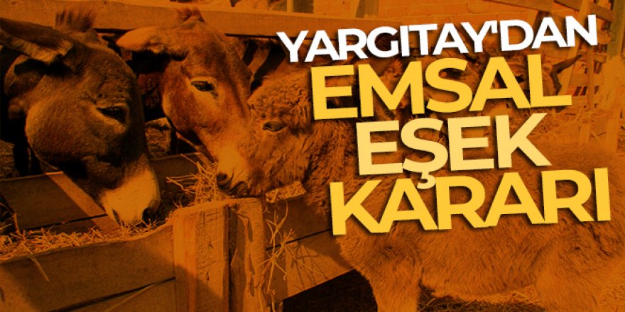 Yargıtay'dan emsal eşek kararı