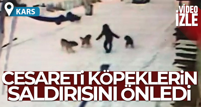 Kars'ta dehşet anları kamerada!